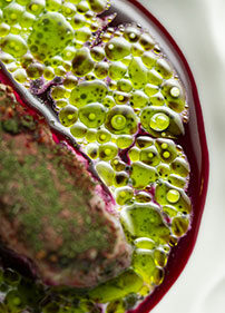 Ecrevisse plat de mathieu boutroy